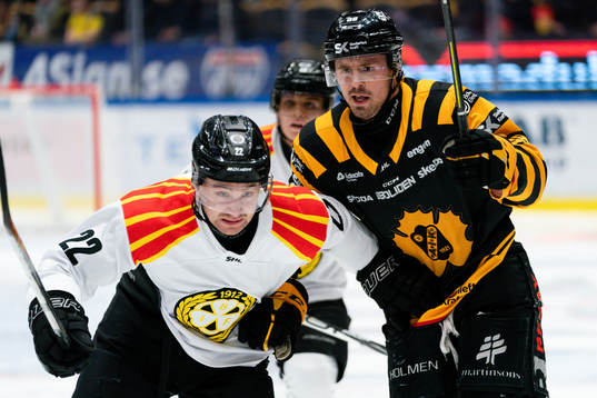 Brynäs Adam Pettersson och Skellefteås Jayce Hawryluk