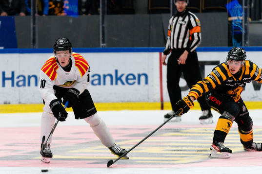 Brynäs Noel Gunler och Skellefteås Adam Wilsby