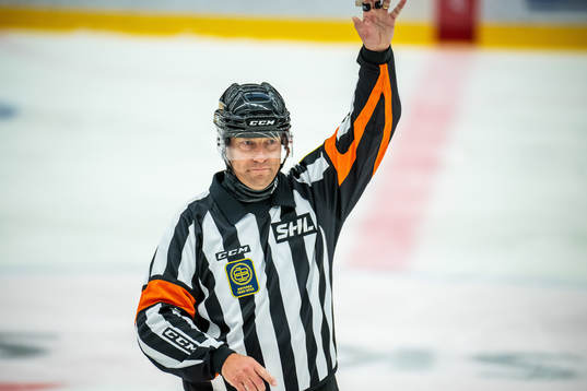 Domare Sören Persson