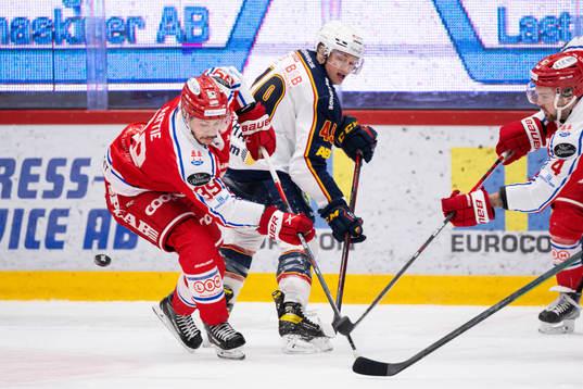 Timrås Ty Rattie och Djurgårdens Rhett Rakhshani