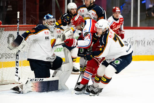 Djurgårdens målvakt Mantas Armalis och Timrås Jeremy