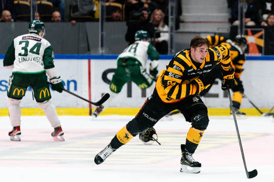 Skellefteås Linus Karlsson