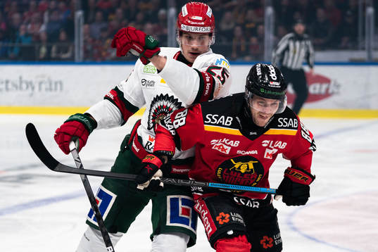 Frölundas Elmer Söderblom och Luleås Joonas Rask