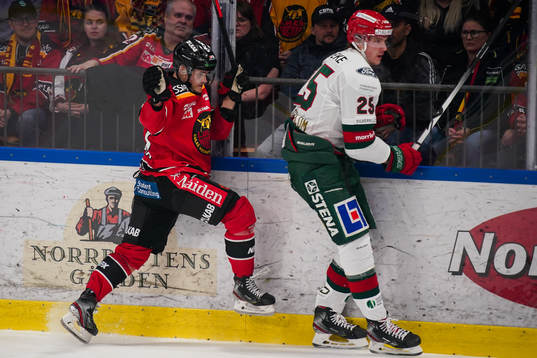 Luleås Joonas Rask och Frölundas Elmer Söderblom