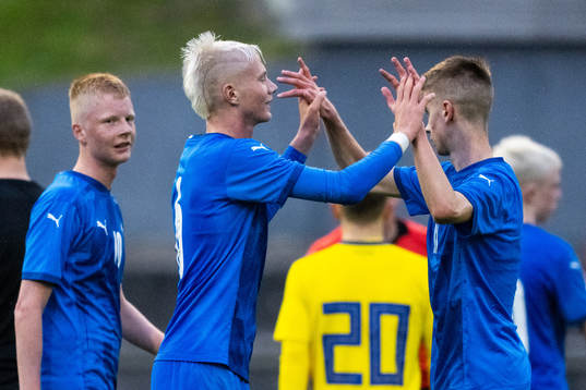 Islands spelare jublar