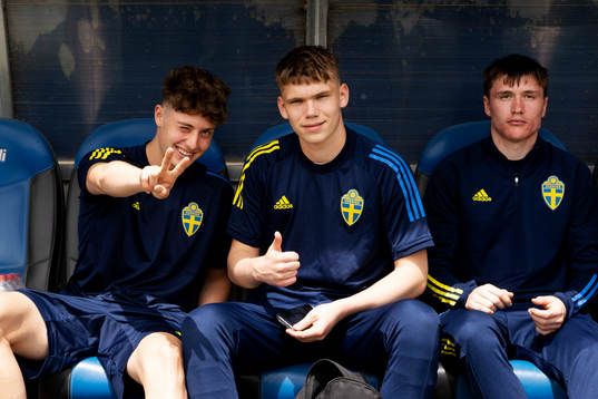 I denna handout-bild från Svenska Fotbollförbundet syns