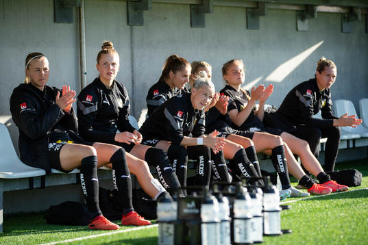Häckens bänk