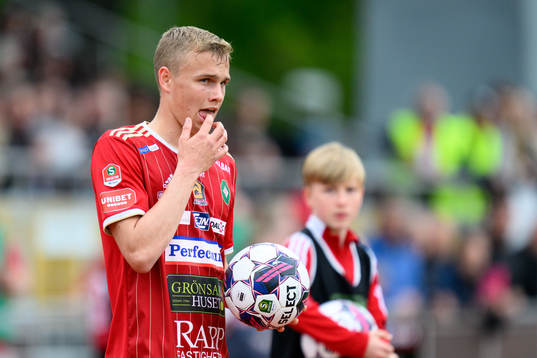 Skövdes Gustav Friberg