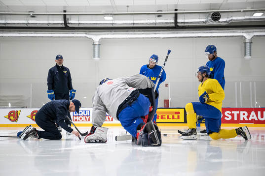 goaltender coach Stefan Ladhe, assistant coach Markus
