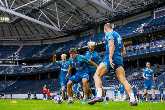 Fredrik André Bjørkan and Dennis Johnsen of the Norwegian national football team