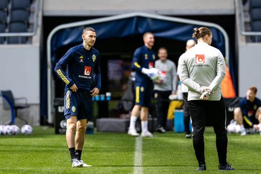 Branimir Hrgota of the Swedish national football team
