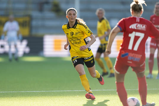 Elfsborgs Saga Andersson