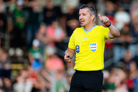 Domare Bojan Pandzic