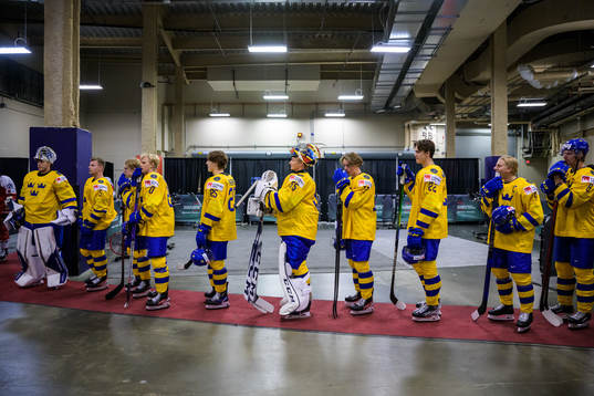 Players of Sweden