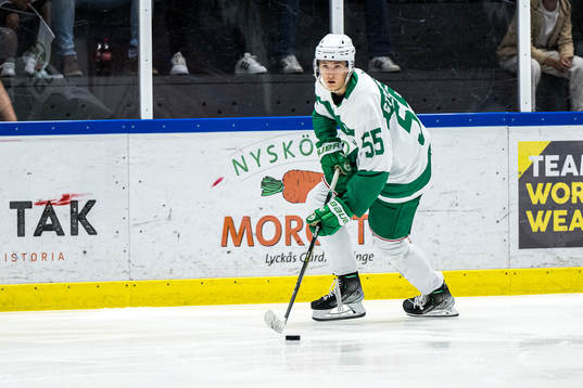 Rögles William Strömgren