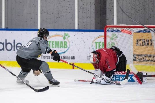 Brynäs Oscar Birgersson och Örebros målvakt Jhonas Enroth