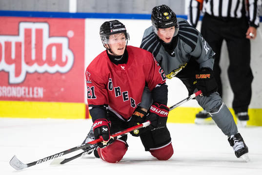 Örebros Linus Öberg och Brynäs Julius Bergman