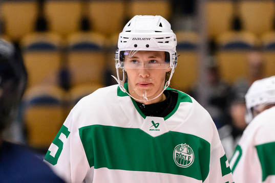 Rögles William Strömgren