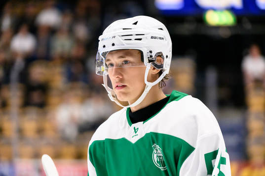 Rögles William Strömgren