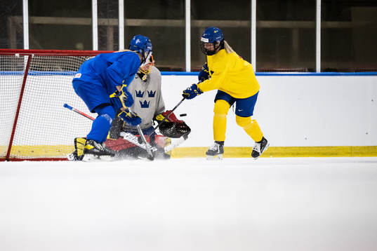 goaltender Ellen Jonsson and Mina Waxin of Sweden at a