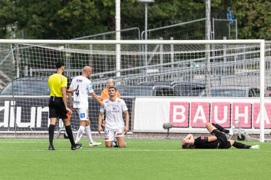 Halmstads Taulant Parallangaj tilldelas rött kort och Halmstads Nikola Vasic har ont