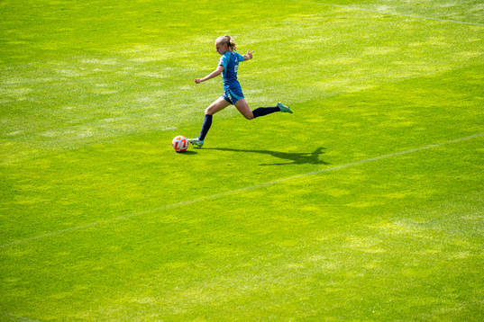 Bla gjennom flere bilder av Football, FIFA Women's World Cup Qualifier, Norway, training