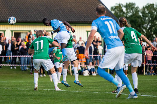Malmö FFs Mamadou Ousmane Diagne