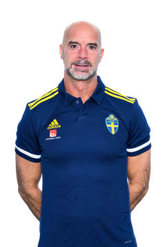 Stefan Johannesson, Elitansvarig domare på Svenska