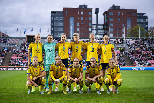  Stina Blackstenius , goalkeeper Jennifer Falk , Linda Sembrant, Lina Hurtig , Fridolina Rolfö , Magdalena Eriksson. Bottom left:  Filippa Angeldahl, Kosovare Asllani , Elin Rubensson , Olivia Schough and Nathalie Björn.