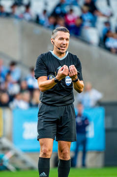 Domare Bojan Pandzic
