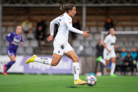 Häckens Rosa Kafaji
