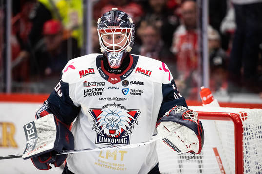Linköpings målvakt Marcus Högberg