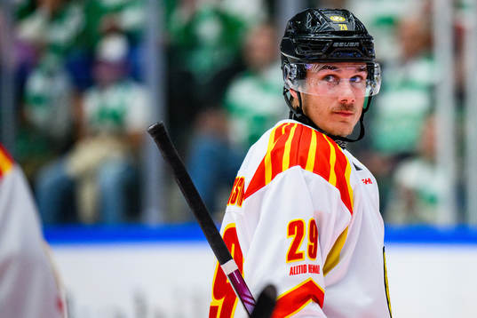 Brynäs Oscar Birgersson