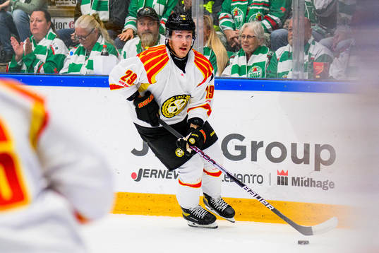 Brynäs Oscar Birgersson