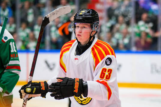 Brynäs Julius Bergman