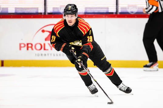 Brynäs Oscar Birgersson