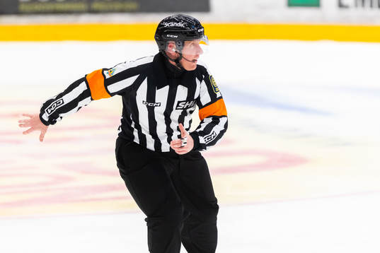 Domare Sören Persson