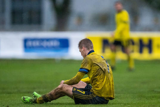 Sveriges Williot Swedberg
