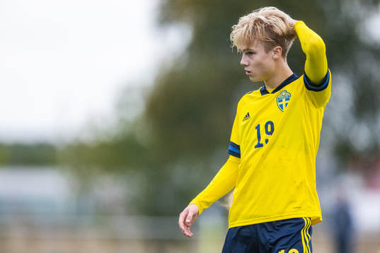 Sveriges Theo Bergvall