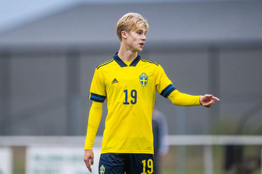 Sveriges Theo Bergvall