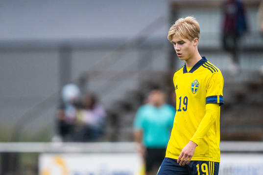 Sveriges Theo Bergvall