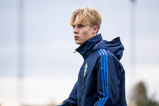 Sveriges Theo Bergvall