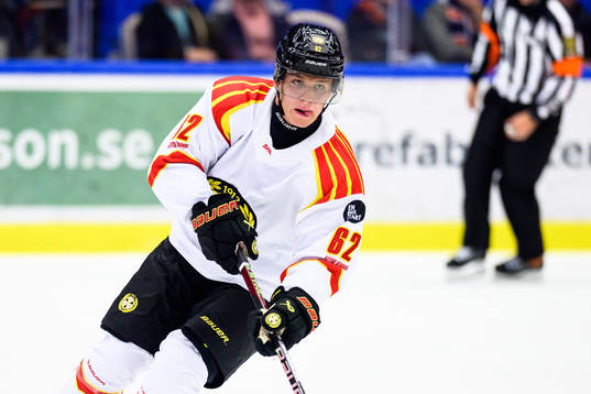 Brynäs Tom Hedberg
