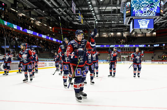 Linköpings Vilmos Gallo jublar