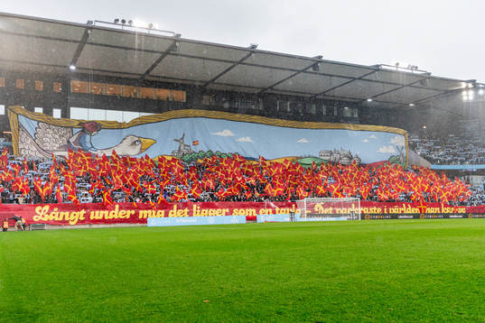 Malmö FFs supportar med tifo