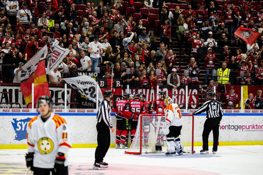 Malmö Redhawks spelare jublar
