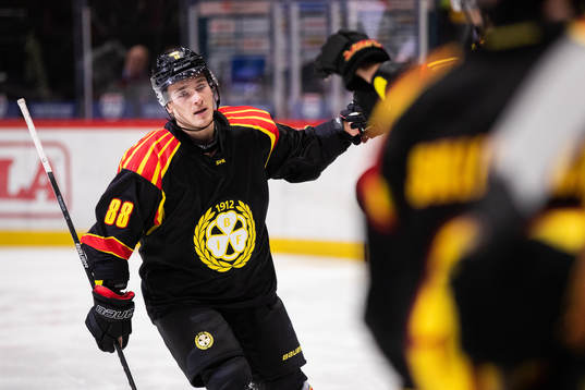 Brynäs Dmytro Timashov jublar