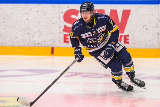 HV71s Marcus Davidsson