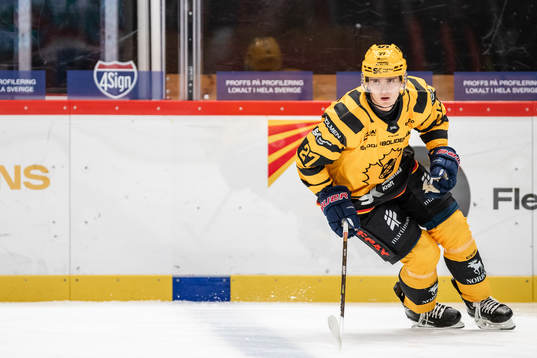 Skellefteås Gabriel Säll