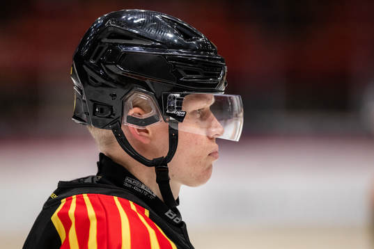 Brynäs Julius Bergman